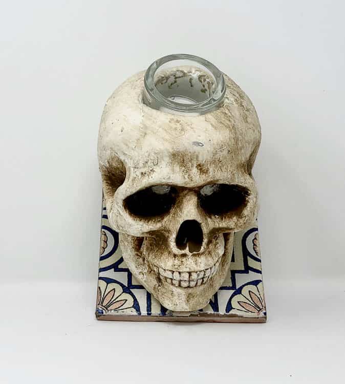 Skull Candle view